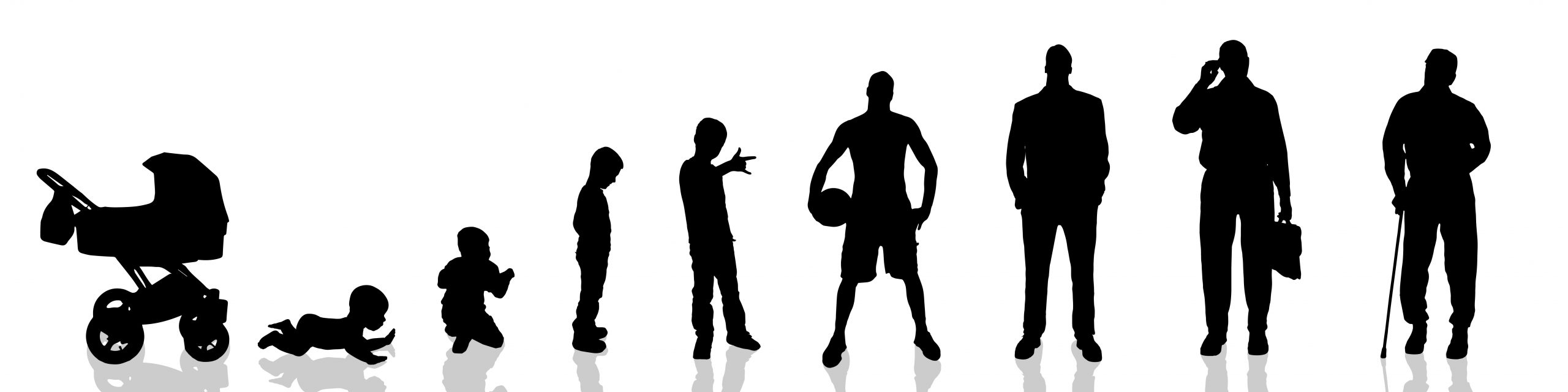 Vector silhouette of man as generation progresses.