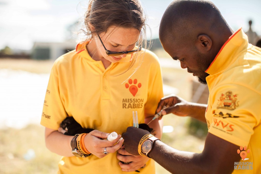 Case Study: Mission Rabies